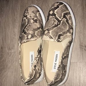 Snakeskin Steve Madden shoes